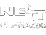 Next Plena logo